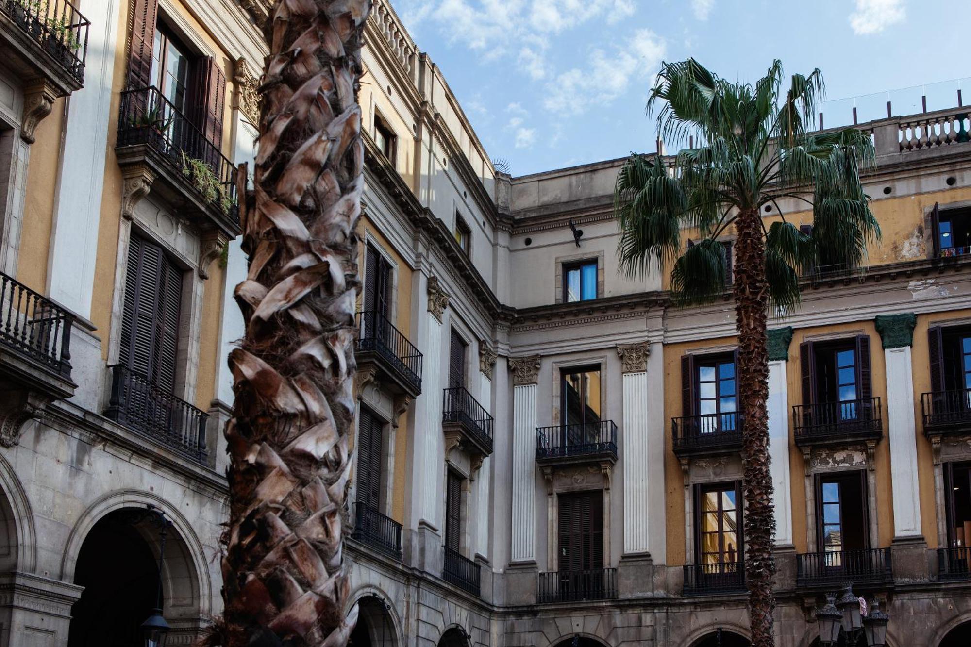 Ramblas Apartments Barcelona Szoba fotó